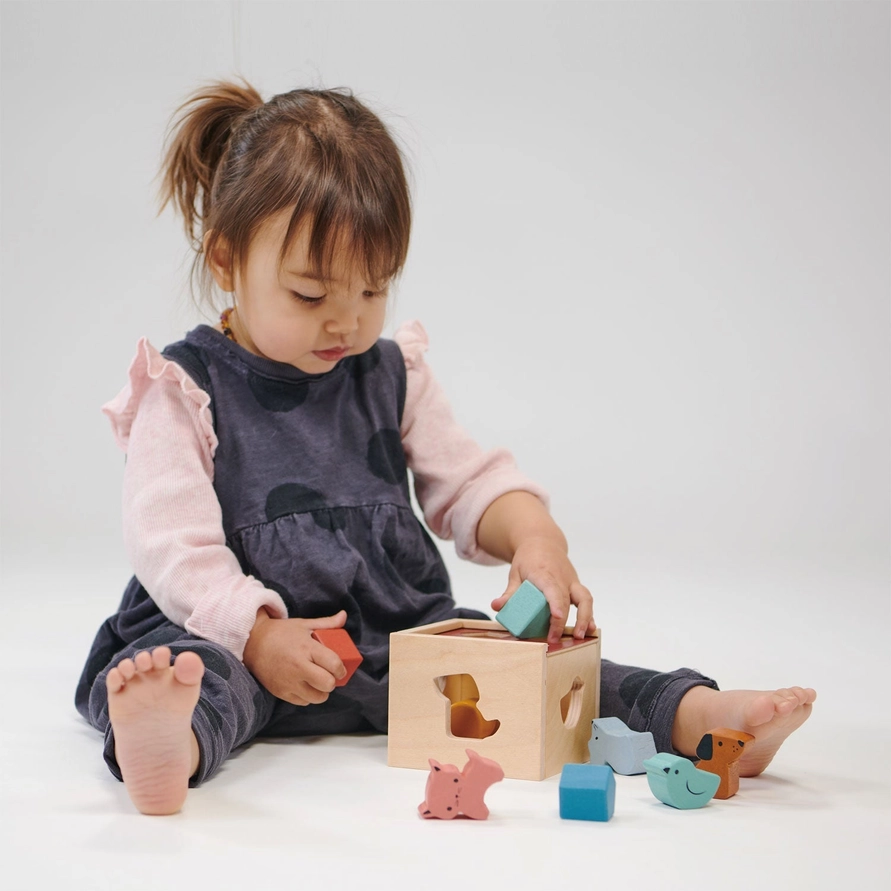270e09d1ed448c85f2c4950f9542745edb3fae71924e908e40c1b4c4a24dd5bf Mentari Toys- Bambino Shape Sorting Cube - Image 3